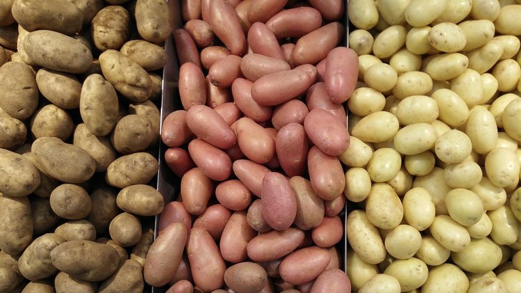Zdjęcie Jakie ziemniaki do sałatki a jakie do klusek? Jak kupować ziemniaki? TEST na rodzaj ziemniaka! #5