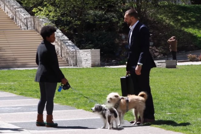 Zdjęcie Oddałbyś swojego psa za 100 000$? Zobacz, jak na taką propozycję zareagowali inni [VIDEO] #1