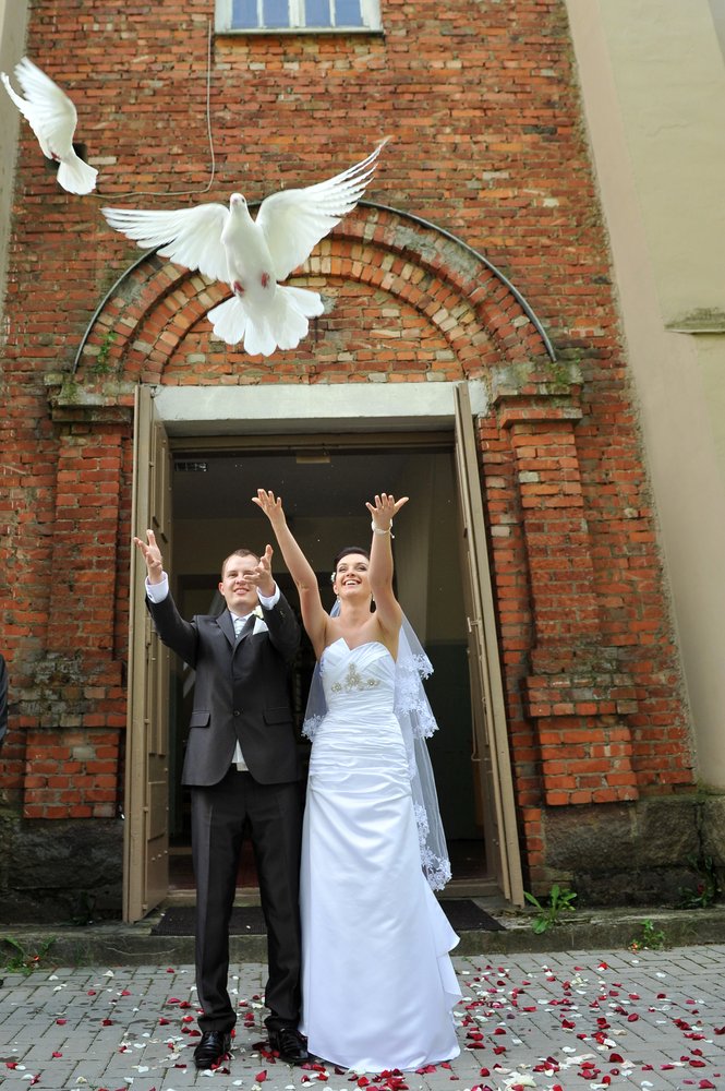 Zdjęcie Puszczanie gołębi podczas ślubu - dlaczego nie jest to dobry pomysł? #2