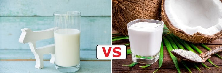Zdjęcie Pij przez 7 dni mleko roślinne. Zobacz jakie korzyści przynosi to dla Twojego organizmu #4