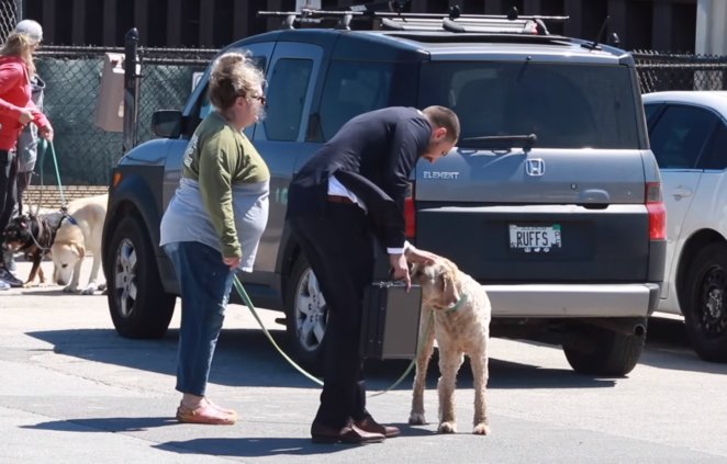 Zdjęcie Oddałbyś swojego psa za 100 000$? Zobacz, jak na taką propozycję zareagowali inni [VIDEO] #2