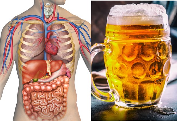 Zdjęcie Oto, jak picie piwa wpływa na twój organizm minuta po minucie #2