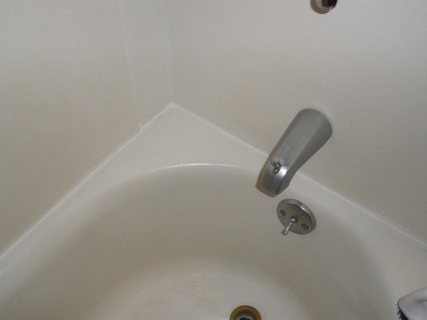 Zdjęcie Zobacz jak pozbyć się pleśni z łazienki – naturalny sposób #2