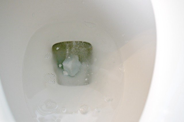 Zdjęcie Zrób własne kostki toaletowe! Zabijają więcej bakterii niż te ze sklepu #6