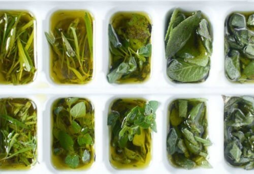 Zdjęcie Zioła mrożone w oliwie z oliwek – doskonały sposób zadbania o zdrowie #2