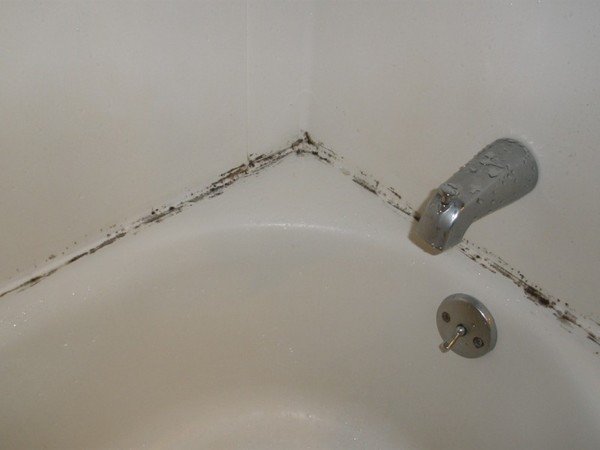 Zdjęcie Zobacz jak pozbyć się pleśni z łazienki – naturalny sposób #1