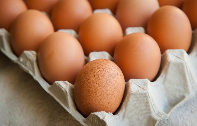 Zdjęcie Nie jedz jajek z Biedronki i Carrefour. SĄ SKAŻONE – informuje Główny Lekarz Weterynarii #2