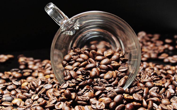 Zdjęcie Dowiedz się, czym zastąpić kawę, aby być pełnym energii #3