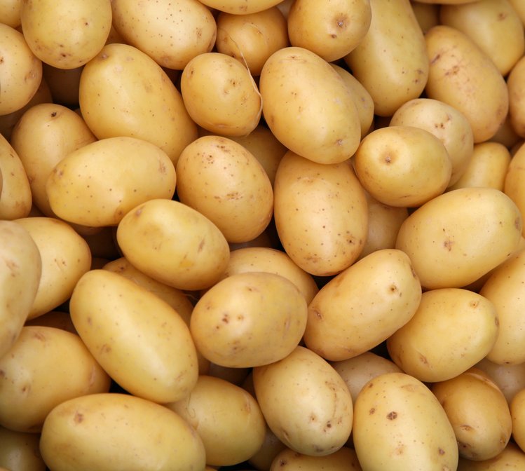 Zdjęcie Jakie ziemniaki do sałatki a jakie do klusek? Jak kupować ziemniaki? TEST na rodzaj ziemniaka! #6