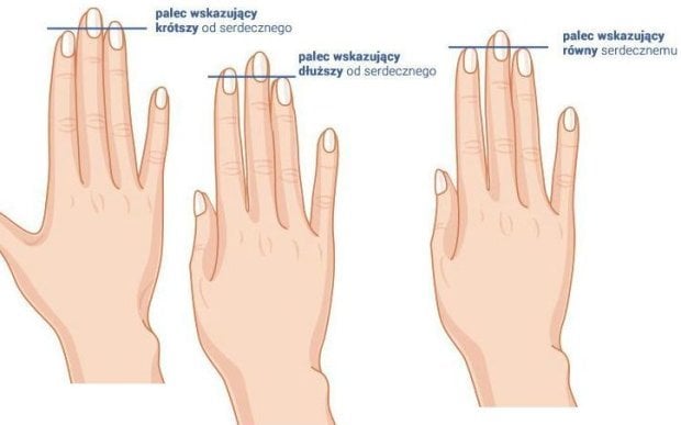 Zdjęcie Co Twoja dłoń może powiedzieć o Twoim charakterze? Przekonaj się sama. #1