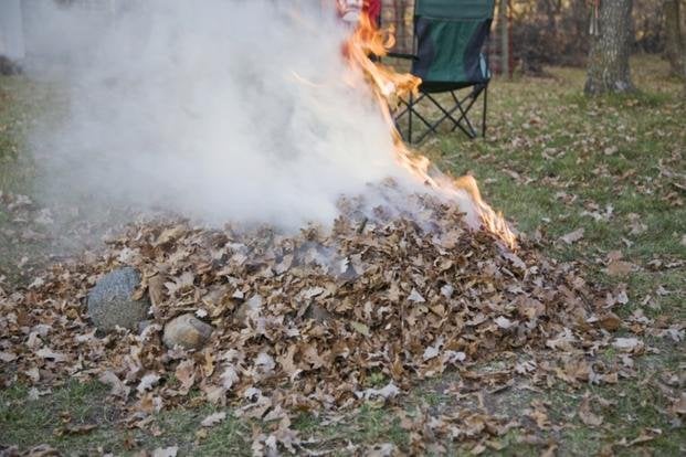 Zdjęcie Palenie liści w ogrodzie – kiedy można, a kiedy czeka za to wysoka kara? #1