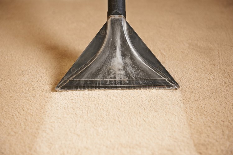 Zdjęcie Zrób własny proszek do czyszczenia dywanów! To prostsze niż myślisz #2