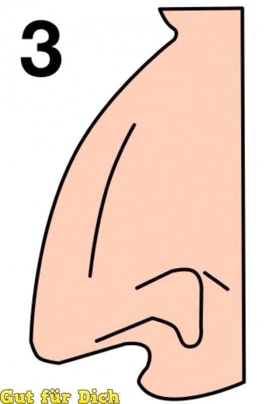 Zdjęcie Jaki jest kształt twojego nosa? To wiele mówi o twojej osobowości #3