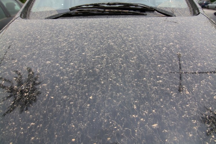 Zdjęcie Czy twój samochód też jest pokryty żółtym pyłem? Będziesz zaskoczony, jak dowiesz się to co jest #1