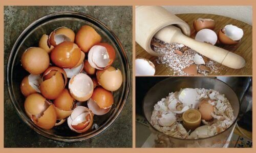 Zdjęcie Skorupki jaj i ich wyjątkowy wpływ na zdrowie! Odtruwają, oczyszczają i wzmacniają odporność #2