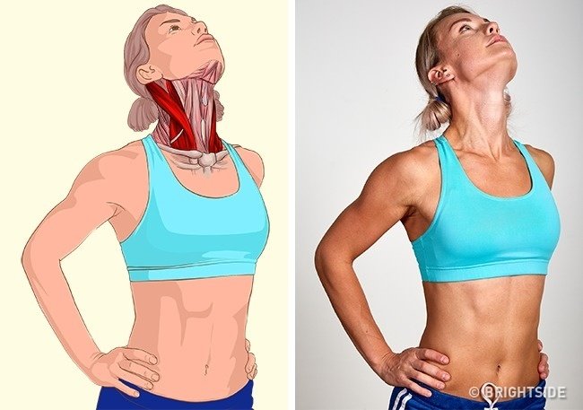 Zdjęcie Jak rozciągać poszczególne mięśnie? Te zdjęcia wszystko wyjaśniają #1