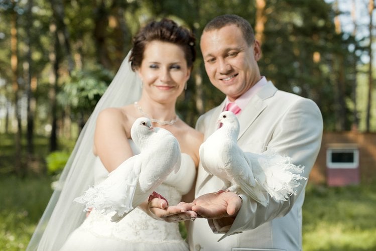 Zdjęcie Puszczanie gołębi podczas ślubu - dlaczego nie jest to dobry pomysł? #1