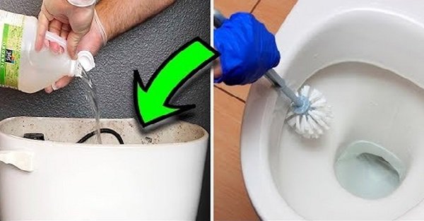 Zdjęcie Wlewaj ocet do toalety 2 razy w tygodniu. To zapewni Ci czystość i higienę #2