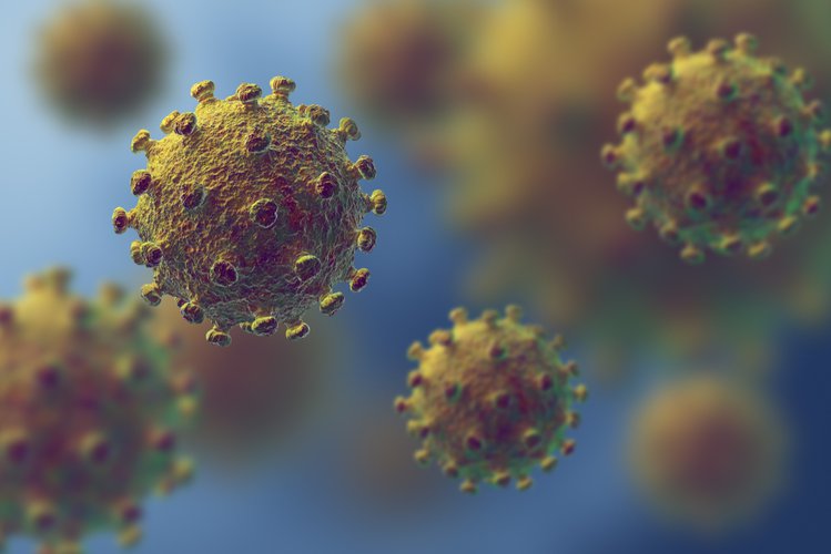 Zdjęcie Które produkty hamują rozwój koronawirusa? Ważne odkrycie naukowców #2