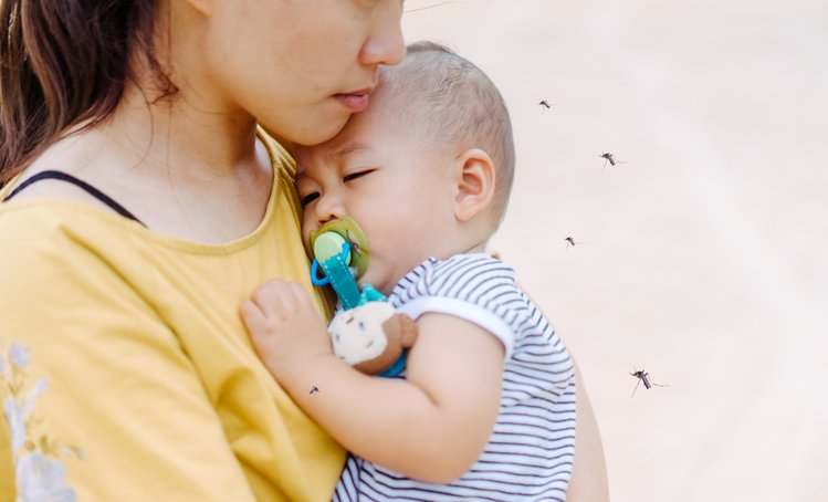 Zdjęcie Czy komary mogą przenosić koronawirusa? #4