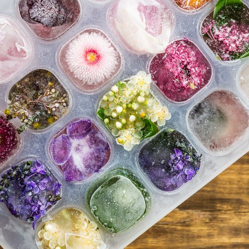 Zdjęcie Jak przygotować piękne kostki lodu z jadalnymi kwiatami w środku? #2