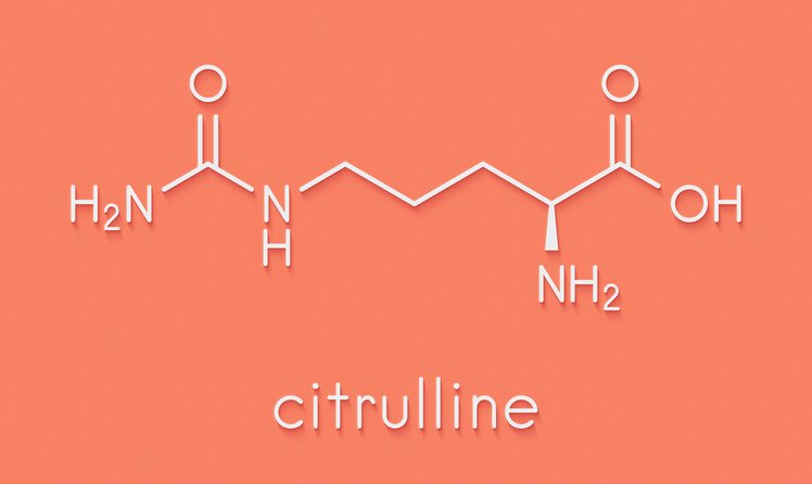Zdjęcie Czym jest cytrulina? Gdzie ją znaleźć i jakie ma właściwości? #1