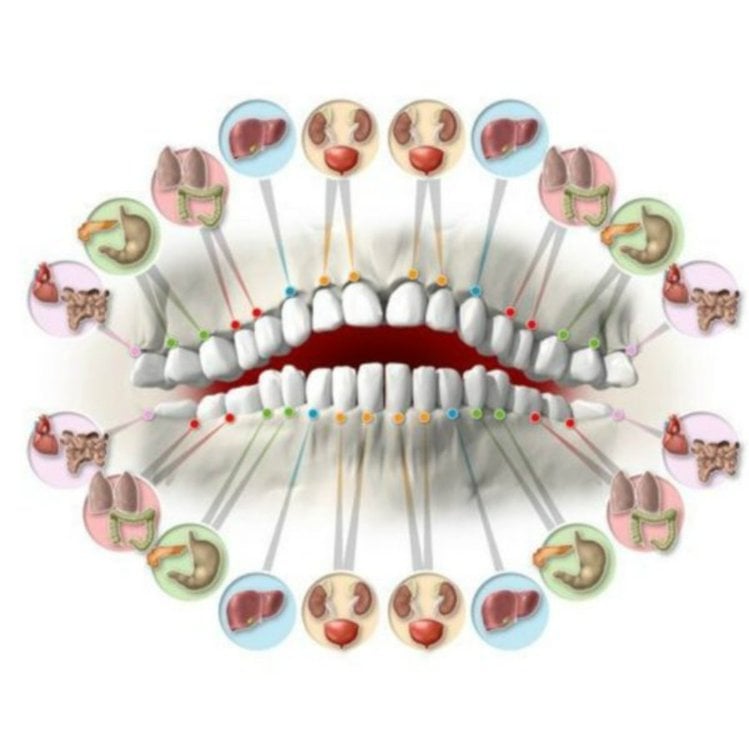 Zdjęcie Ból zębów może zwiastować dalsze problemy zdrowotne. Zobacz, co oznacza ból danego zęba #3