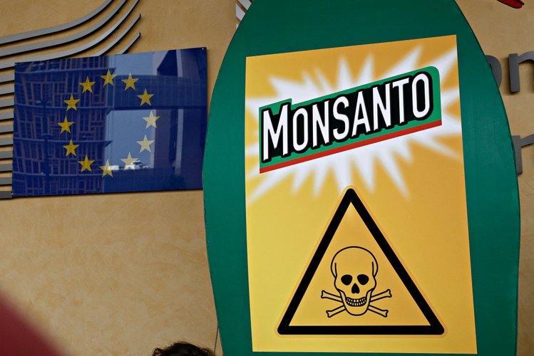 Zdjęcie Monsanto zapłaci 1,1 mld zł odszkodowania. Jego produkt wywołał raka! #2