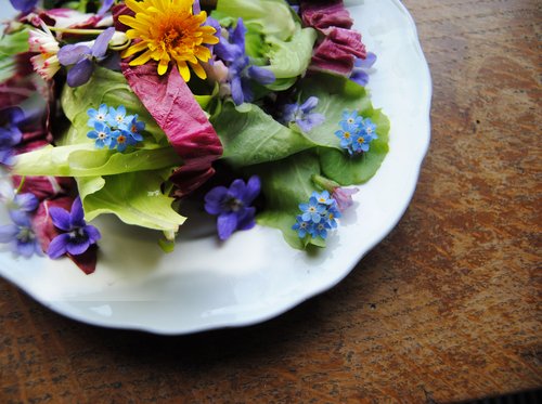 Zdjęcie Jak przygotować piękne kostki lodu z jadalnymi kwiatami w środku? #1