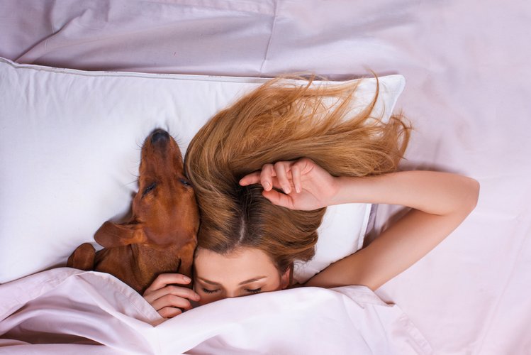 Zdjęcie Czy pies powinien spać z nami w łóżku? Poznaj ciekawe fakty na ten temat! #3