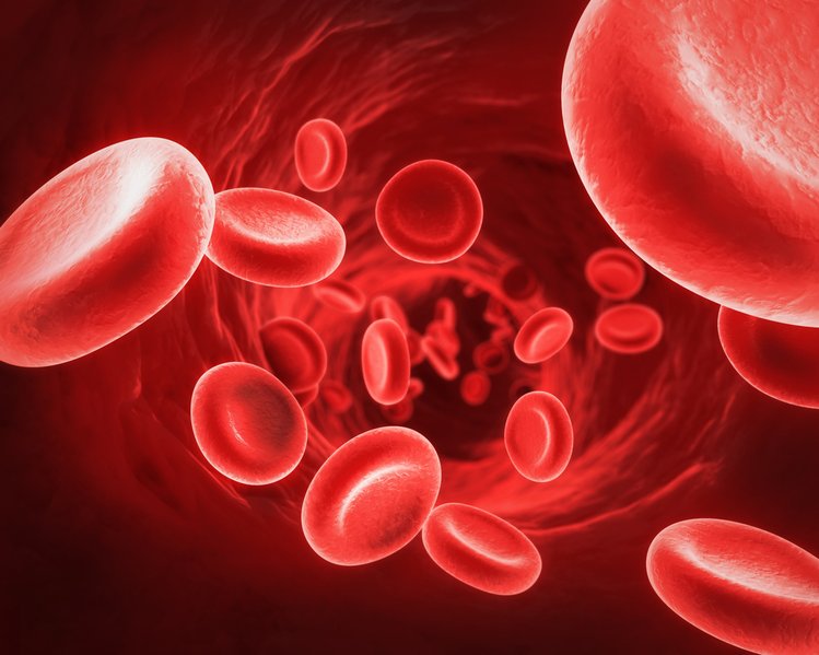 Zdjęcie Czerwone krwinki odpowiadają za dobre samopoczucie i piękną skórę. Jak zwiększyć ich ilość? #2