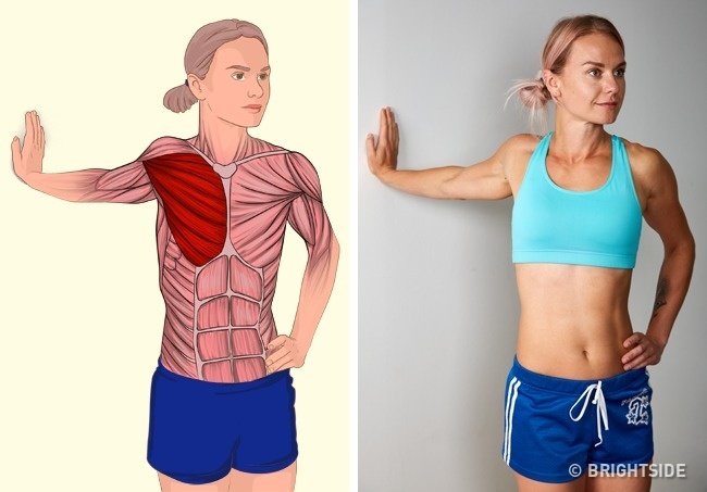 Zdjęcie Jak rozciągać poszczególne mięśnie? Te zdjęcia wszystko wyjaśniają #5