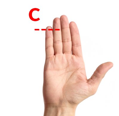 Zdjęcie Jaką długość ma twój mały palec? To może określić twoją osobowość #3