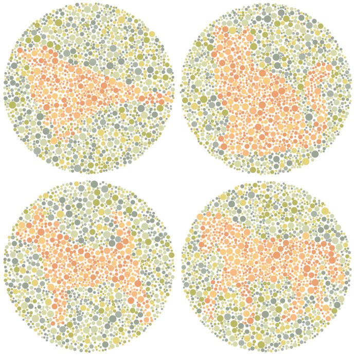 Zdjęcie Jak dobry jest twój wzrok? Rozwiąż test i sprawdź, czy twoje widzenie barw jest prawidłowe #5