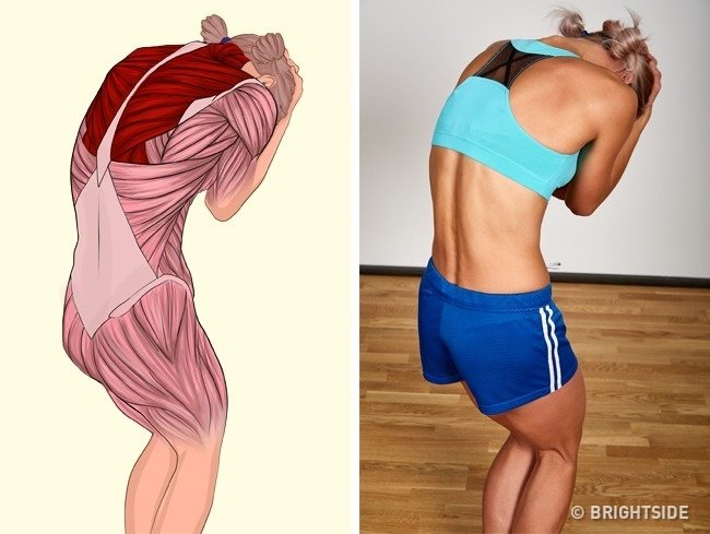 Zdjęcie Jak rozciągać poszczególne mięśnie? Te zdjęcia wszystko wyjaśniają #7