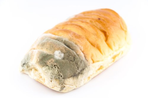 Zdjęcie Czy wystarczy odkroić pleśń z chleba, by bezpiecznie móc go zjeść? #2