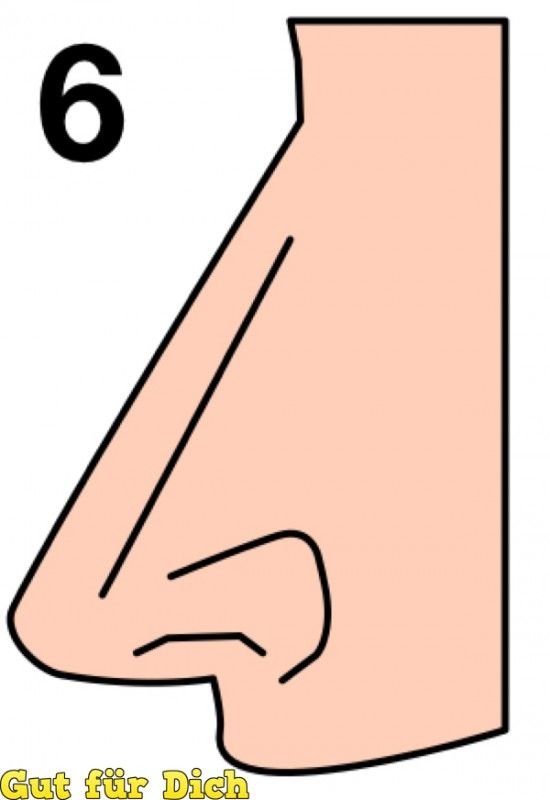Zdjęcie Jaki jest kształt twojego nosa? To wiele mówi o twojej osobowości #5