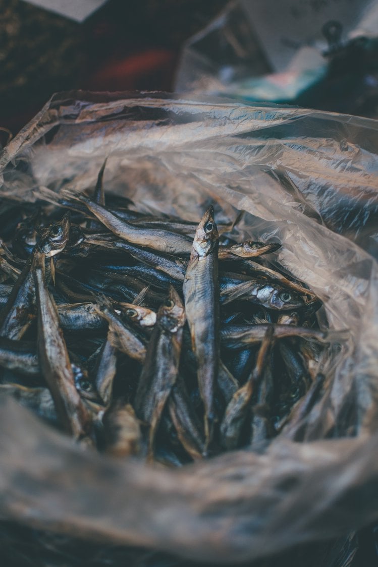 Zdjęcie Dlaczego warto jeść makrelę? Poznaj przepisy na pyszne pasty #1