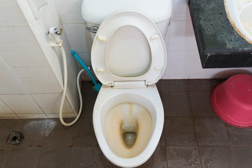Zdjęcie Jak oczyścić toaletę i zbiornik na wodę? Potrzebujesz jedynie dwóch domowych produktów #1