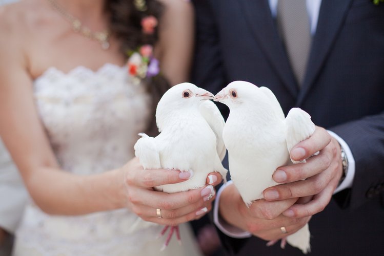 Zdjęcie Najciekawsze tradycje weselne, czy znasz je wszystkie? #3