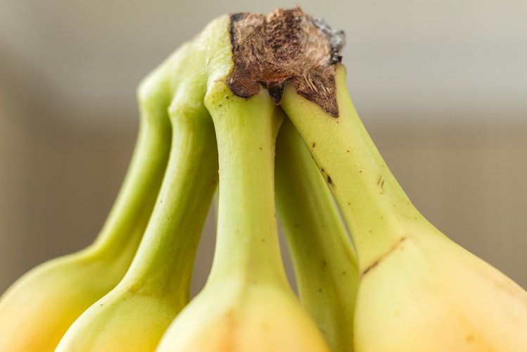 Zdjęcie Wsadziła cebule do rajstop? Sprawdź 10 trików jak zachować świeżość warzyw #2