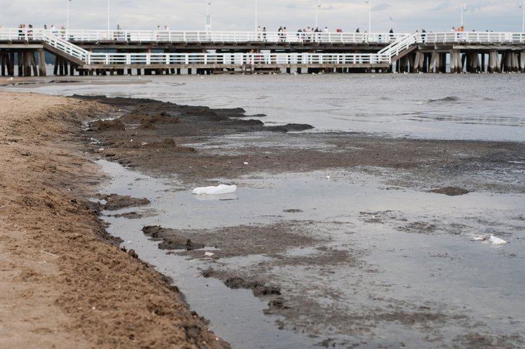 Zdjęcie Katastrofa ekologiczna na Bałtyku? Najwyższa Izba Kontroli alarmuje #1