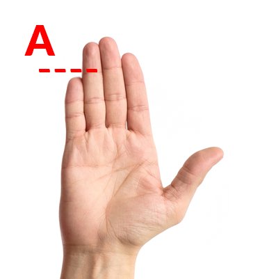 Zdjęcie Jaką długość ma twój mały palec? To może określić twoją osobowość #1