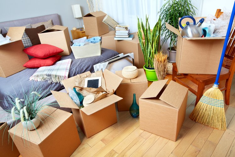 Zdjęcie 9 problemów psychologicznych ukrytych w mieszkaniu! Co mówi o Tobie to jak mieszkasz? #1