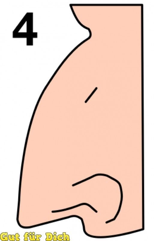 Zdjęcie Jaki jest kształt twojego nosa? To wiele mówi o twojej osobowości #4