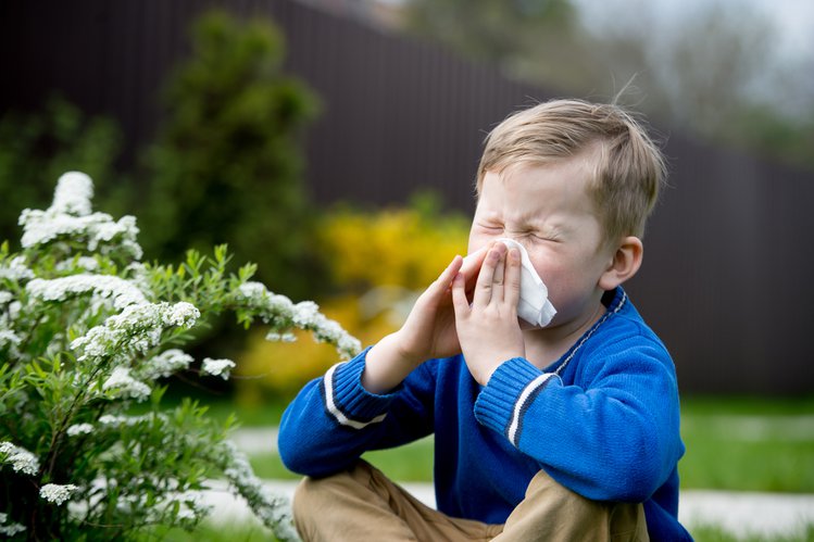 Zdjęcie Jak pozbyć się wiosennej alergii? #4