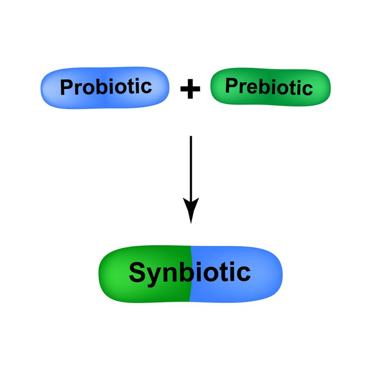 Zdjęcie Probiotyki, Prebiotyki, Synbiotyki. Czym się różnią i które wybrać? #4
