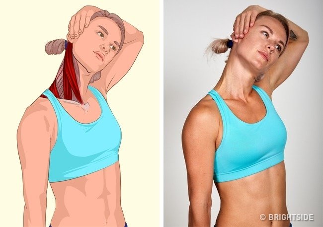 Zdjęcie Jak rozciągać poszczególne mięśnie? Te zdjęcia wszystko wyjaśniają #2