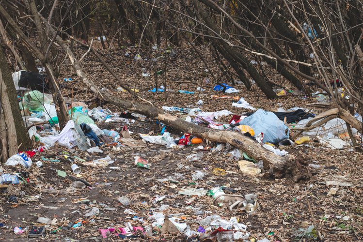 Zdjęcie Jak kara grozi nam teraz za wywiezienie śmieci do lasu? Kary wzrosły #1