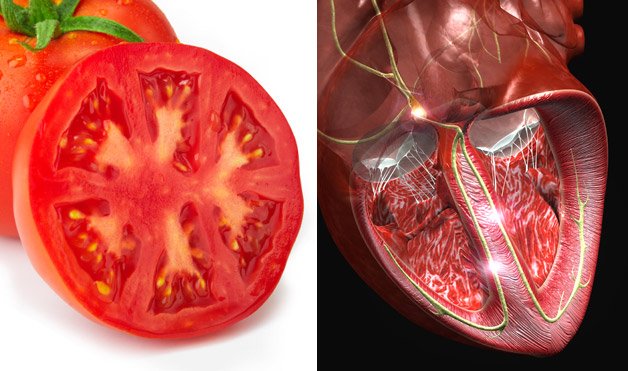 Zdjęcie Owoce i warzywa, które wyglądają tak, jak narządy, które leczą! #2